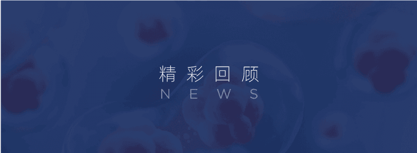 水木分子：以科研致敬时代，以创新礼赞家国——AI与自研管线双轮驱动，助力AI制药加速交付结果